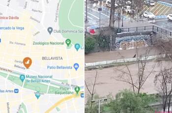 VIDEO | Logran rescatar a perritos atrapados en Río Mapocho