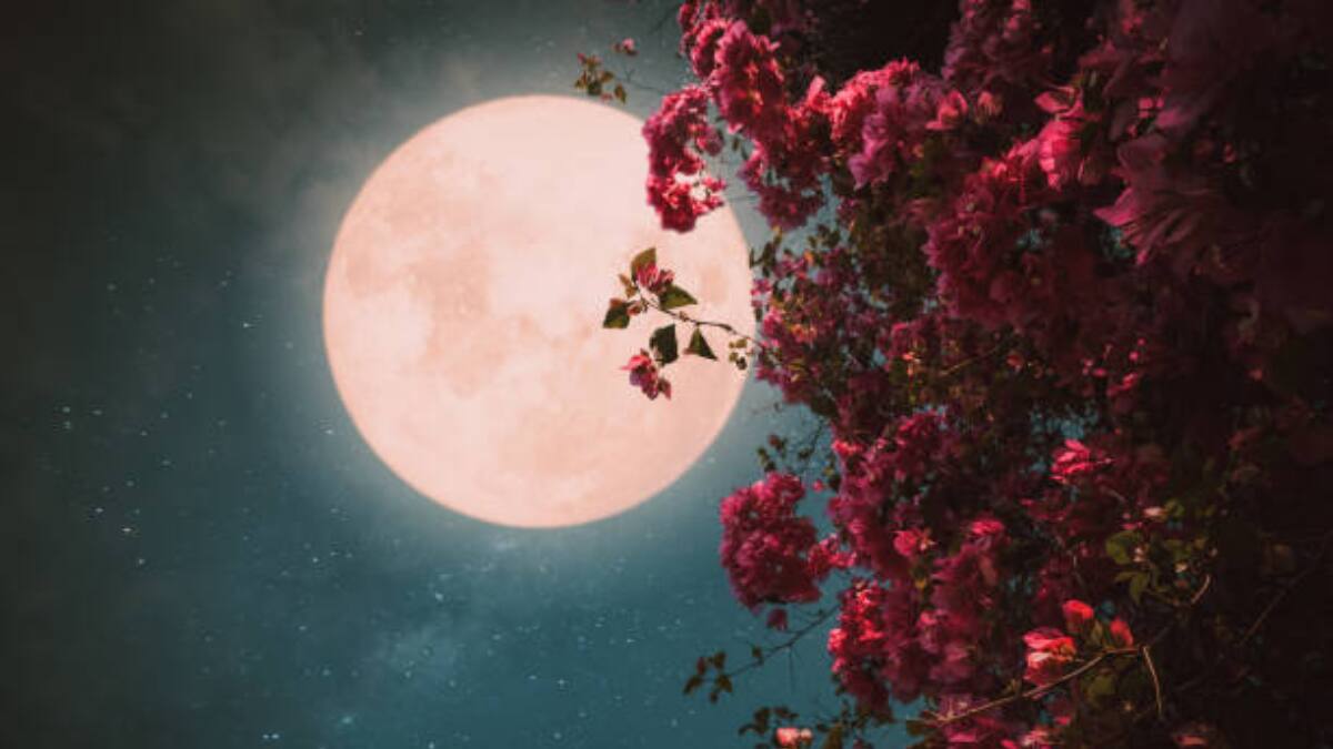 Luna rosa 2023: Realiza alguno de estos rituales durante esta luna llena y atrae a tu vida amor y abundancia