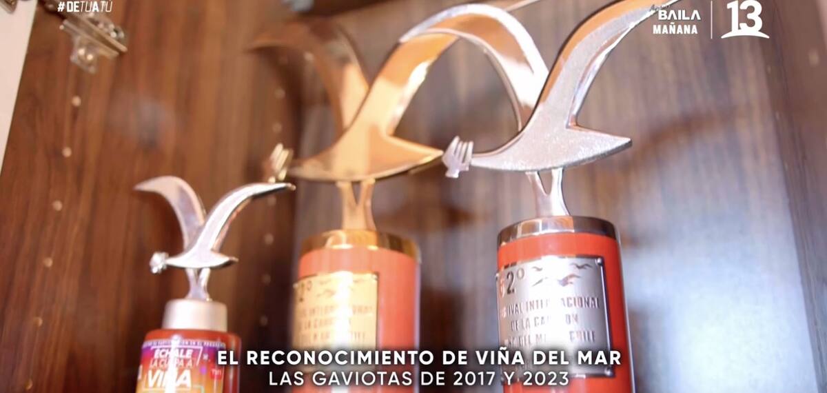 Tiene un espacio especial destinado a las gaviotas que ganó en el Festival de Viña / Canal 13