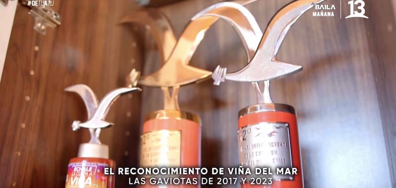 Tiene un espacio especial destinado a las gaviotas que ganó en el Festival de Viña / Canal 13