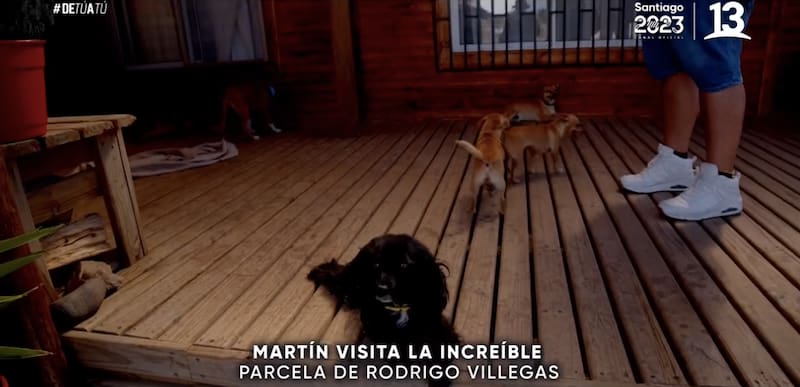 Algunas de las mascotas del comediante / Canal 13