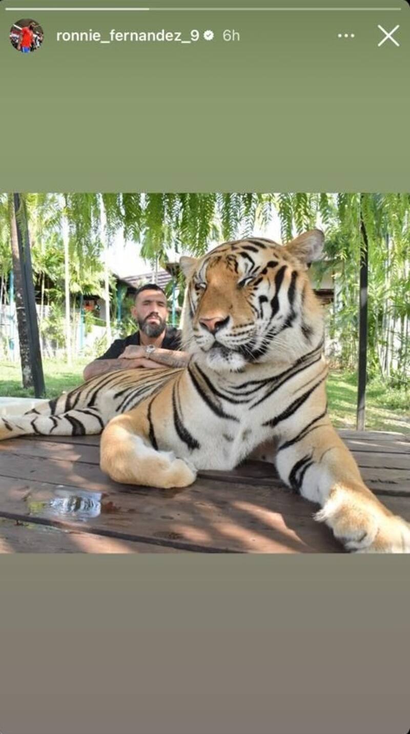 Ronnie Fernández posando con un tigre en Malasia