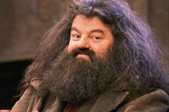 Así luce Nick Frost interpretando a Hagrid en nueva serie de Harry Potter