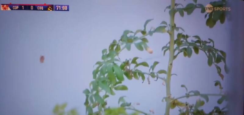 La ruda que puso Deportes Copiapó en el Luis Valenzuela Hermosilla