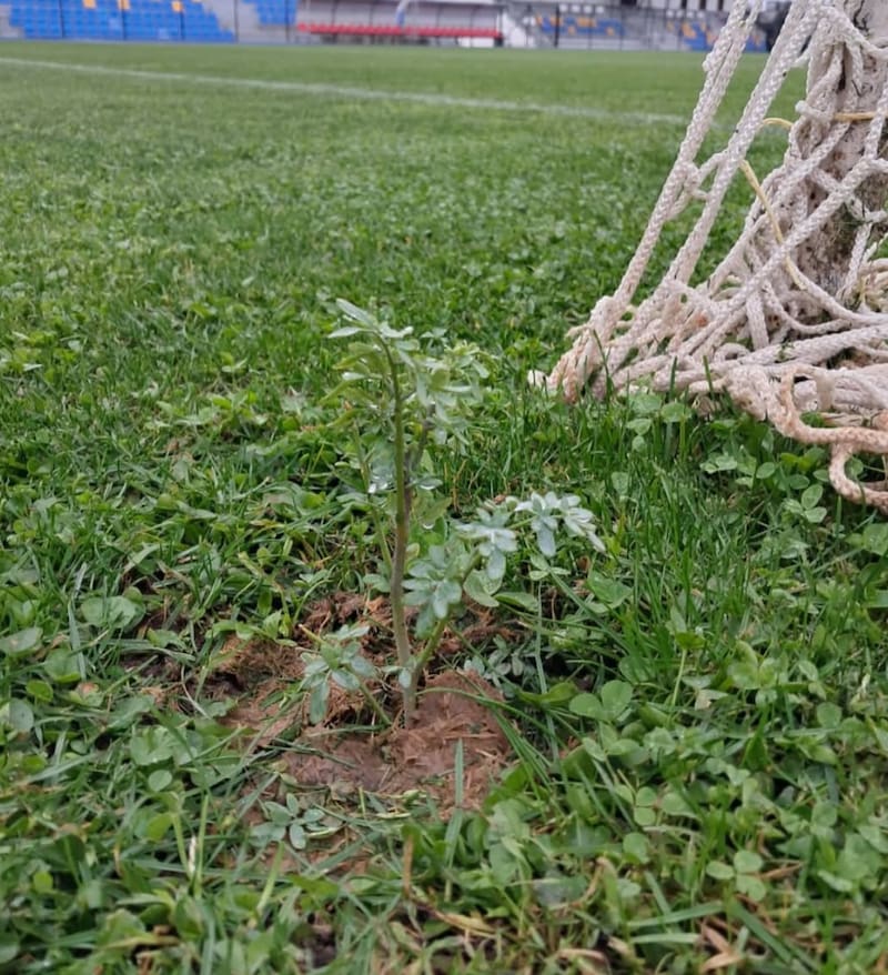 Foto: Pasión por los Deportes.