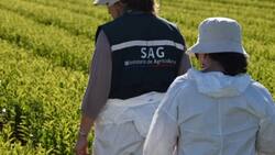 Oficina del Ministerio de Agricultura busca trabajadores: pagan desde $737.000 hasta $3.000.000