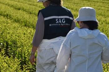 Oficina del Ministerio de Agricultura busca trabajadores: pagan desde $737.000 hasta $3.000.000