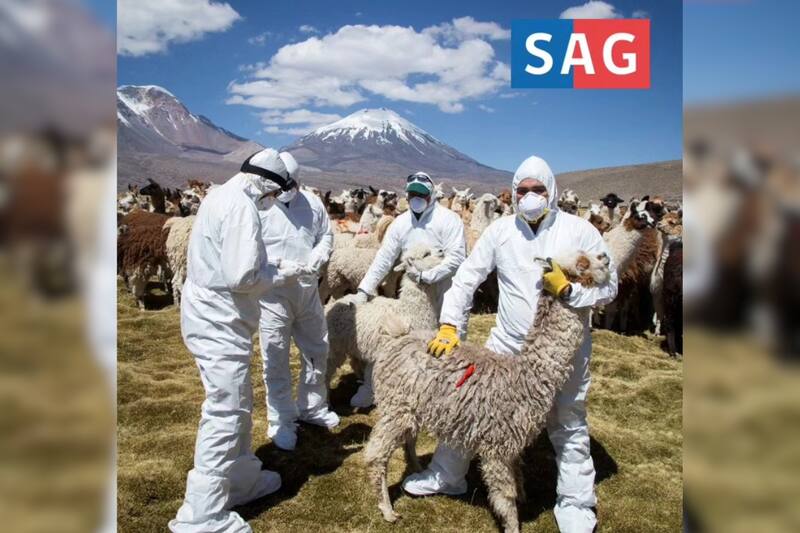 Estos son los trabajos a los que puedes postular en el SAG.