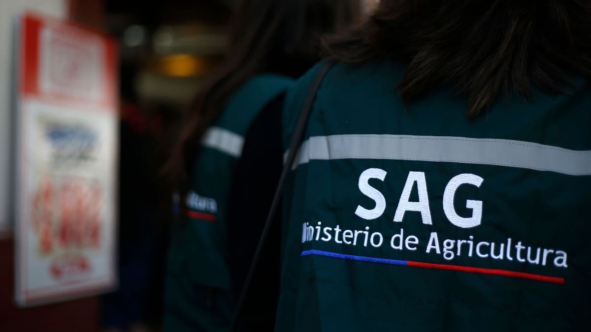 Servicio Agrícola y Ganadero busca trabajadores: sueldos parten en $1.700.000