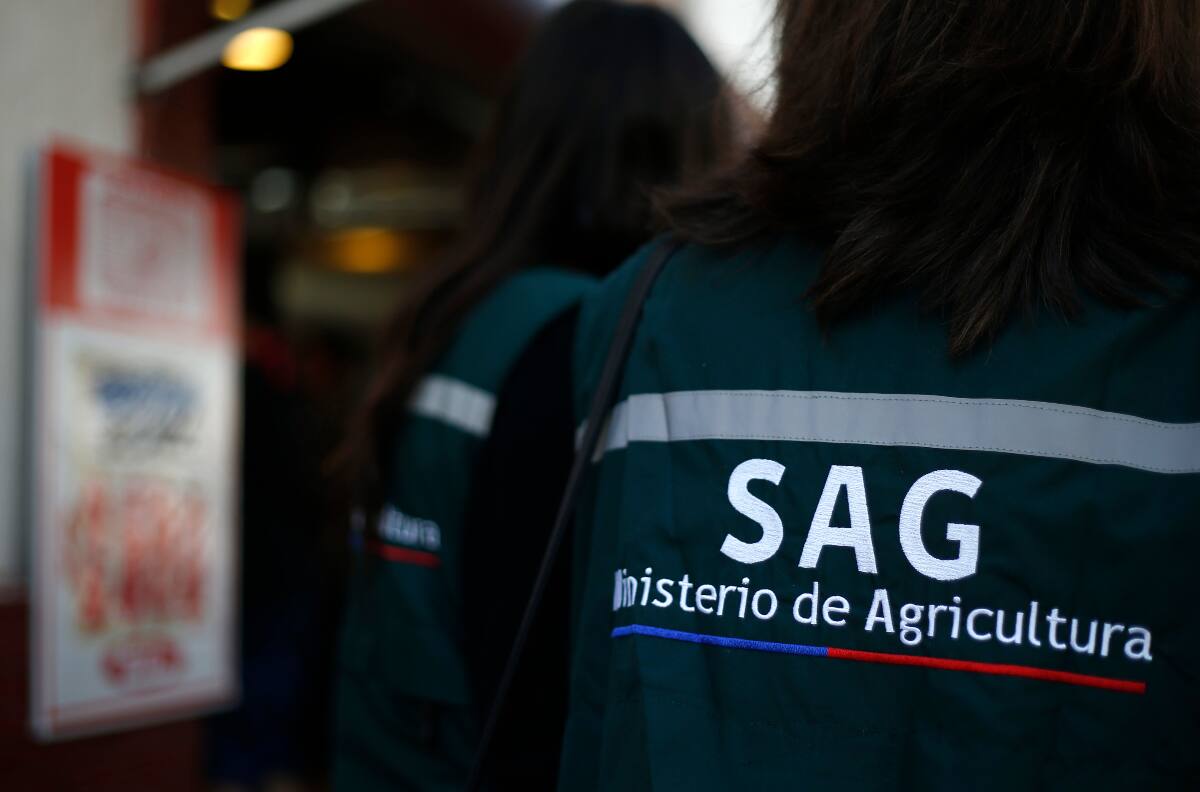 Servicio Agrícola y Ganadero busca trabajadores: sueldos parten en $1.700.000