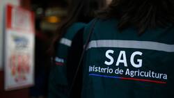 Servicio Agrícola y Ganadero busca trabajadores: sueldos parten en $1.700.000