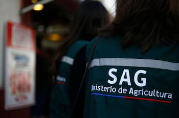 Servicio Agrícola y Ganadero busca trabajadores: sueldos parten en $1.700.000