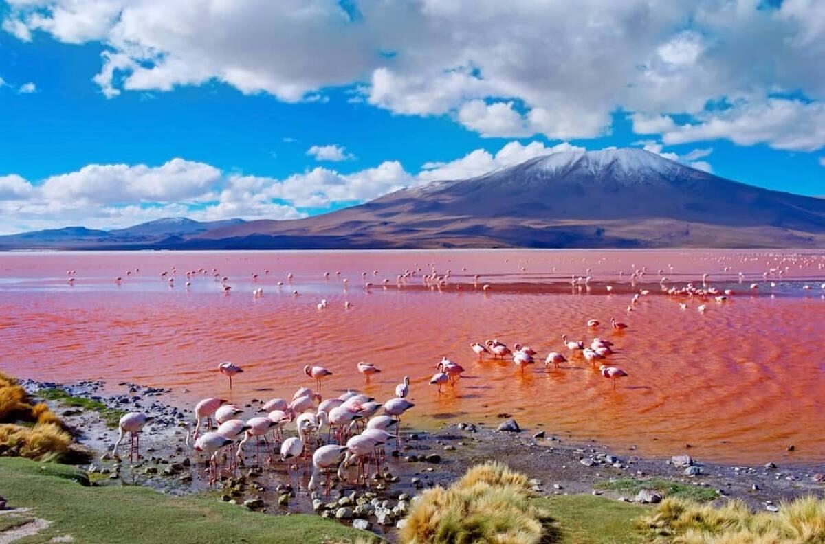 El nuevo país de Sudamérica donde China realizará una mega inversión: competirá directamente con Chile