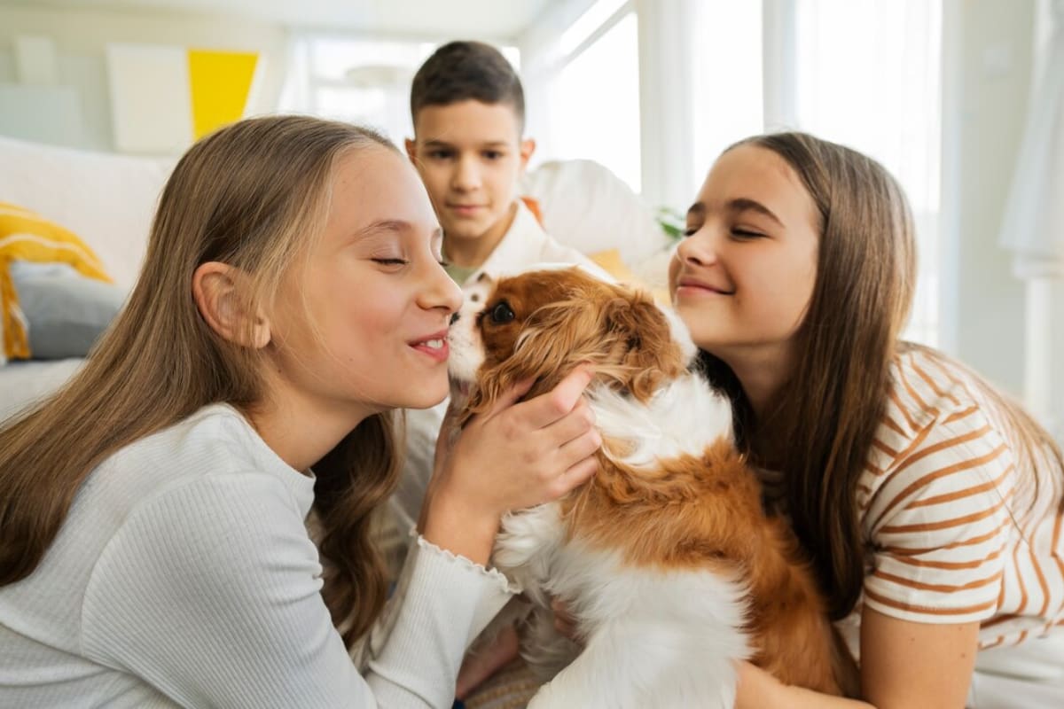 Expertos recomiendan adoptar mascotas para mejorar su bienestar integral.