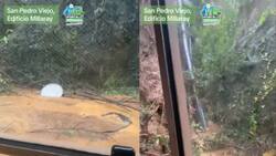 VIDEO | Impactantes imágenes desde edificio en San Pedro de La Paz que tuvo que ser evacuado por derrumbe