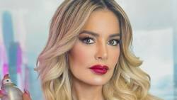 ¿Cuánto cuesta el espectacular departamento que Sandy Boquita puso a la venta en La Reina?