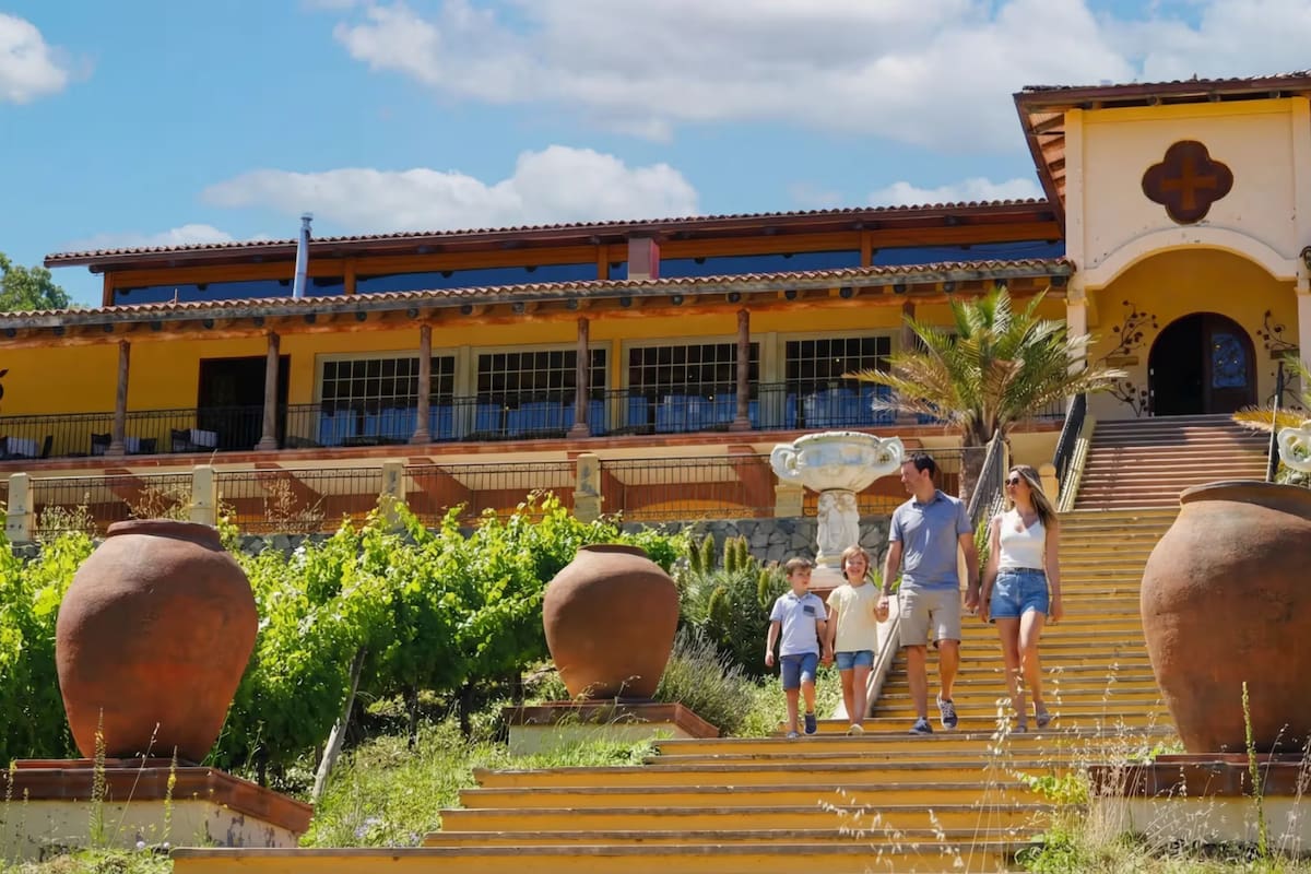 Esta viña destaca en la región por ser la primera 100% solar de Chile. Además, es la más reconocida en el sector, dado que realiza tours y ofrece venta de vinos. Foto: Viña Santa Cruz.