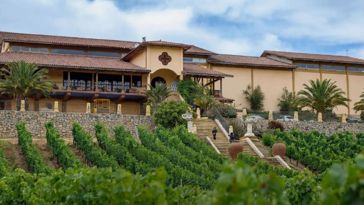 Ni Pichilemu ni Matanzas: El rincón de la Región de O’Higgins que ofrece los mejores paisajes de viñedos en otoño