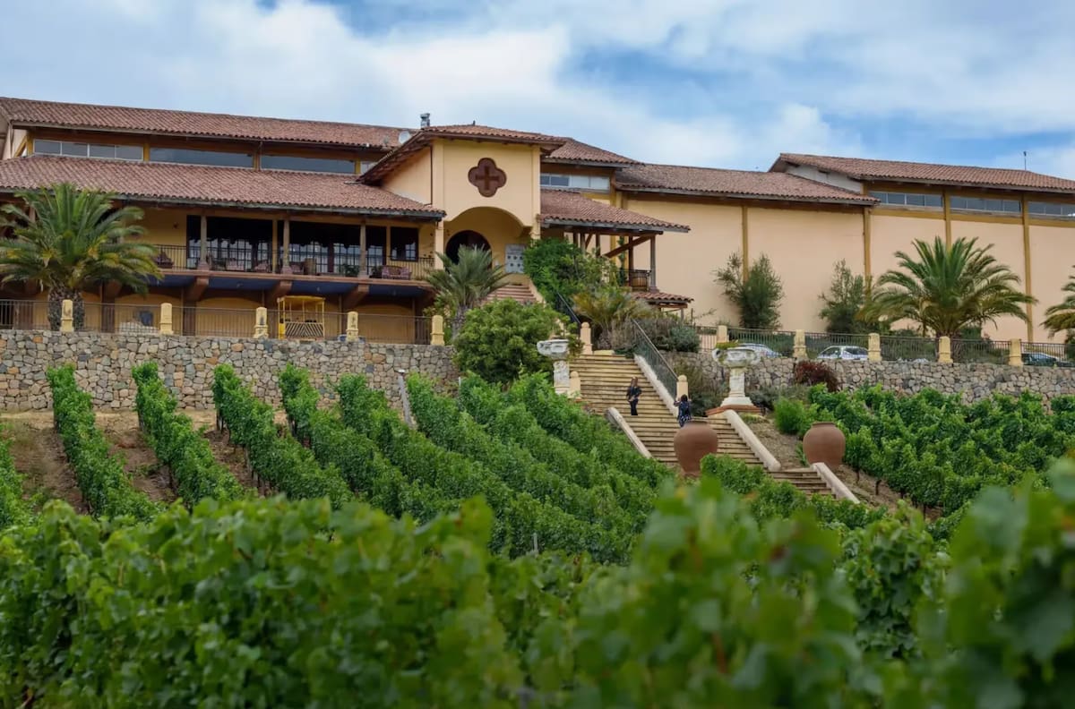 Ni Pichilemu ni Matanzas: El rincón de la Región de O’Higgins que ofrece los mejores paisajes de viñedos en otoño