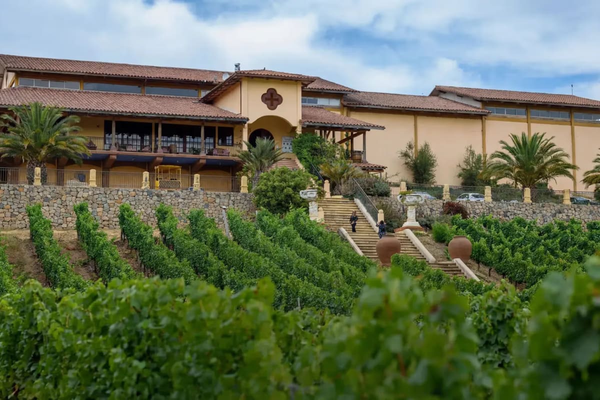 Este destino de la VI Región se ubica a 2 horas de la capital. Foto: Viña Santa Cruz.