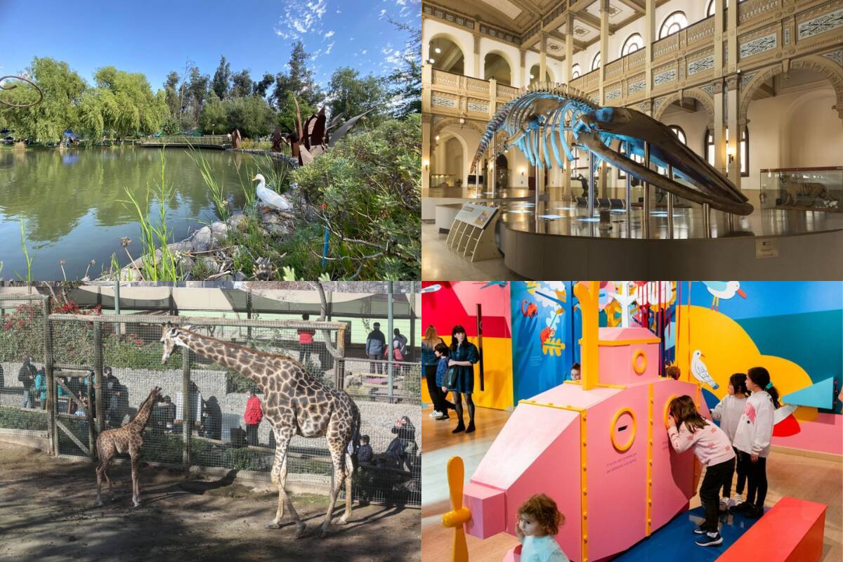 tiene 10 alternativas de panoramas para realizar en familia estas vacaciones