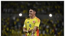 Sería el reemplazo de Sebastián Sosa: la joya colombiana que podría llegar a Everton