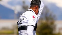 Columna de Juan Cristóbal Guarello: “La fuerza del escritorio”