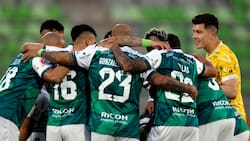 Santiago Wanderers a un paso de cerrar a su primer fichaje para 2026