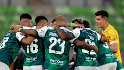¿Llegará ahora? El DT que Santiago Wanderers buscó para dirigir la Liguilla de Ascenso
