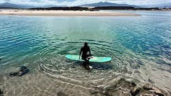 A menos de dos horas de la RM: Ecocamping ofrece entretenidos panoramas para toda la familia durante vacaciones