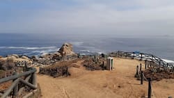 El espectacular santuario de la naturaleza que cuenta con senderos y miradores al mar: Está a menos de 2 horas de Santiago