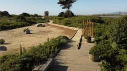 A casi dos horas de Santiago: En este mágico santuario de la naturaleza se unen el río con el mar