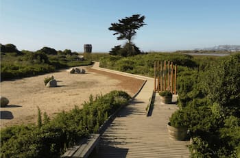 A casi dos horas de Santiago: En este mágico santuario de la naturaleza se unen el río con el mar