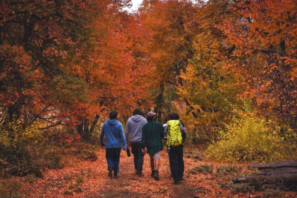 Un escenario perfecto para disfrutar de de ver flora y fauna nativa en el silencio de la montaña. Foto: Alto Huemul en Instagram.