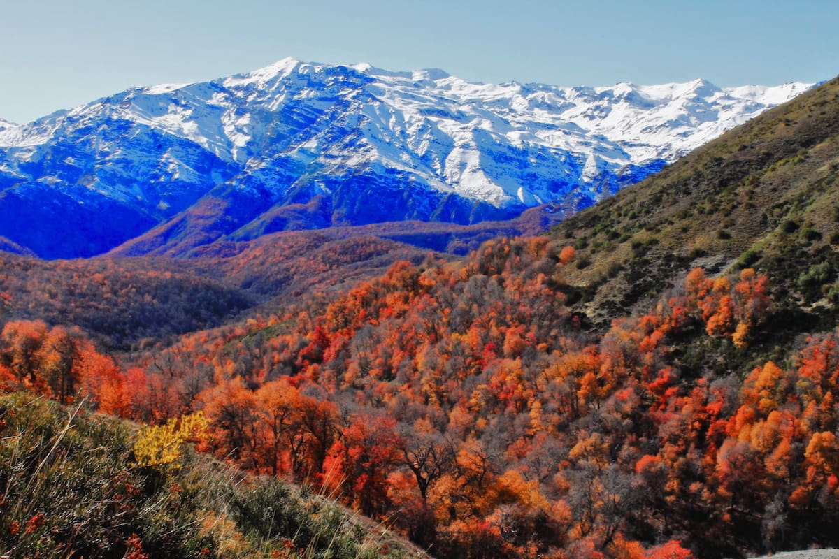 El lugar con bosques centenarios que se vuelve un espectáculo visual en otoño. Foto: Andeshandbook.