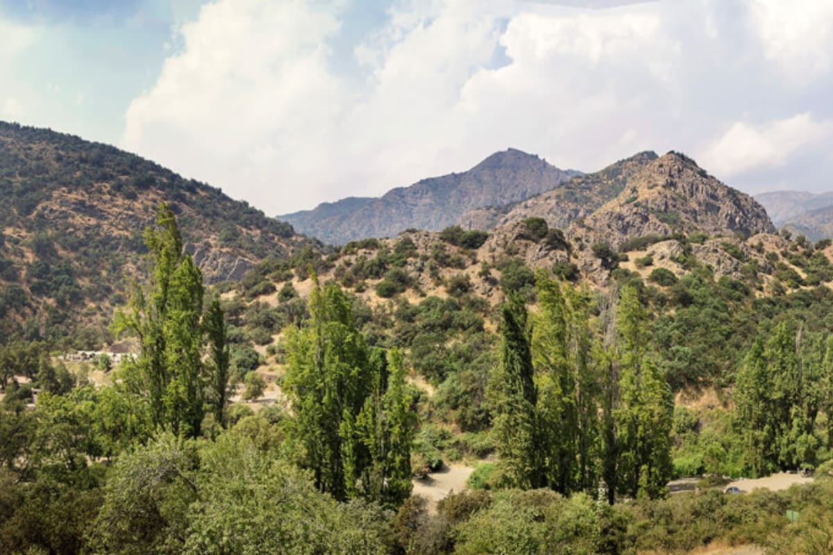 El parque cuenta con amplías hectáreas llenas de la flora y fauna autóctona de la zona cordillerana de nuestro país, ideales para el trekking. Créditos: Santuario de la Naturaleza El Arrayán.