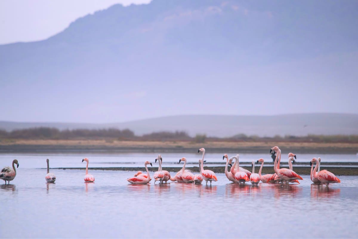Bello lugar aprobado por el Consejo de Ministros como área protegida. Créditos: Ministerio del Medio Ambiente.