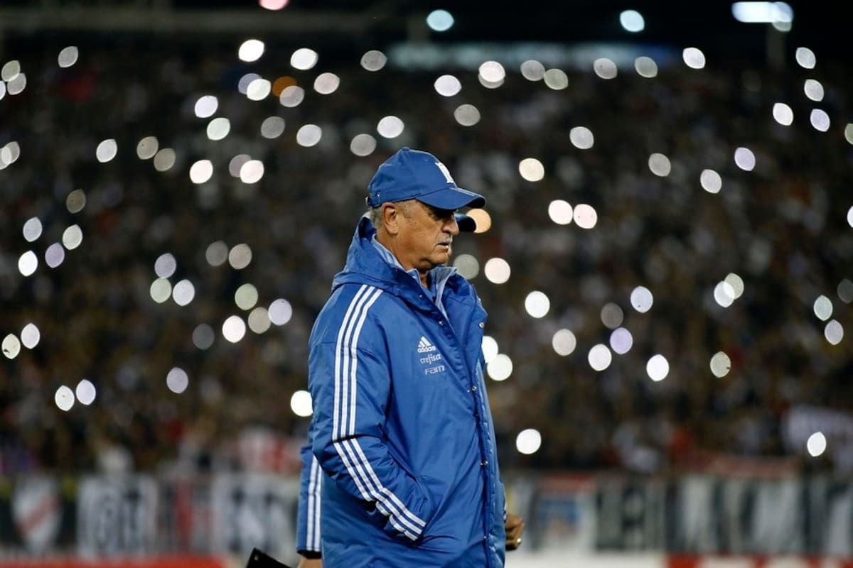 Scolari_GarraBlanca_2018