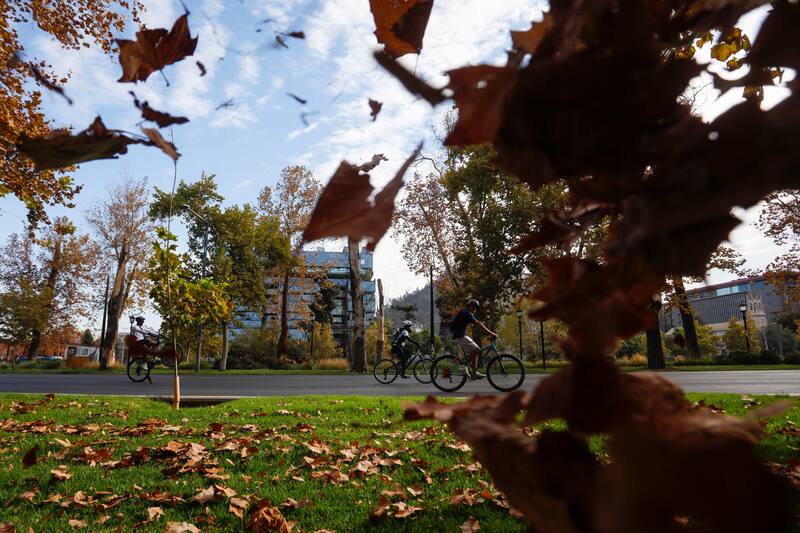 El 23 de marzo comienza el otoño en Chile. Créditos: ATON.