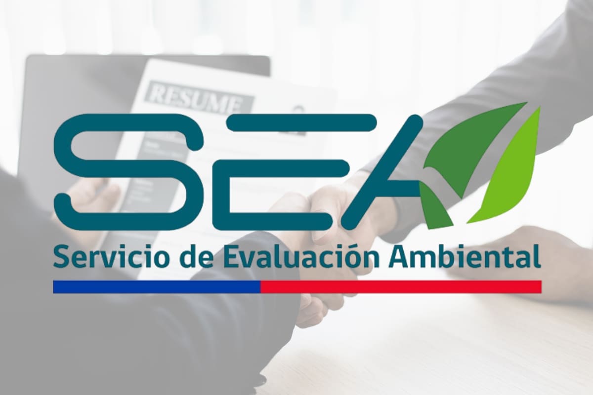 Conoce las diferentes vacantes que hay disponibles para postular.