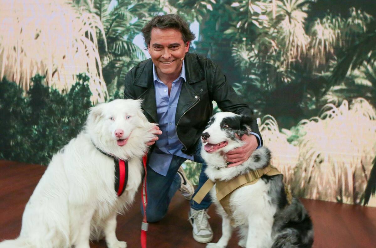 “Acción Animal”: De qué trata y cuándo se estrena el nuevo programa de Sebastián Jiménez en TVN