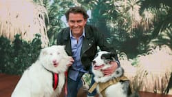 “Acción Animal”: De qué trata y cuándo se estrena el nuevo programa de Sebastián Jiménez en TVN