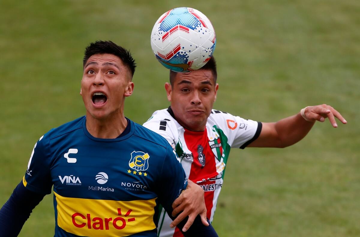 Colo Colo le hace cariño a Jorge Almirón y le ofrece un refuerzo: es figura de Everton