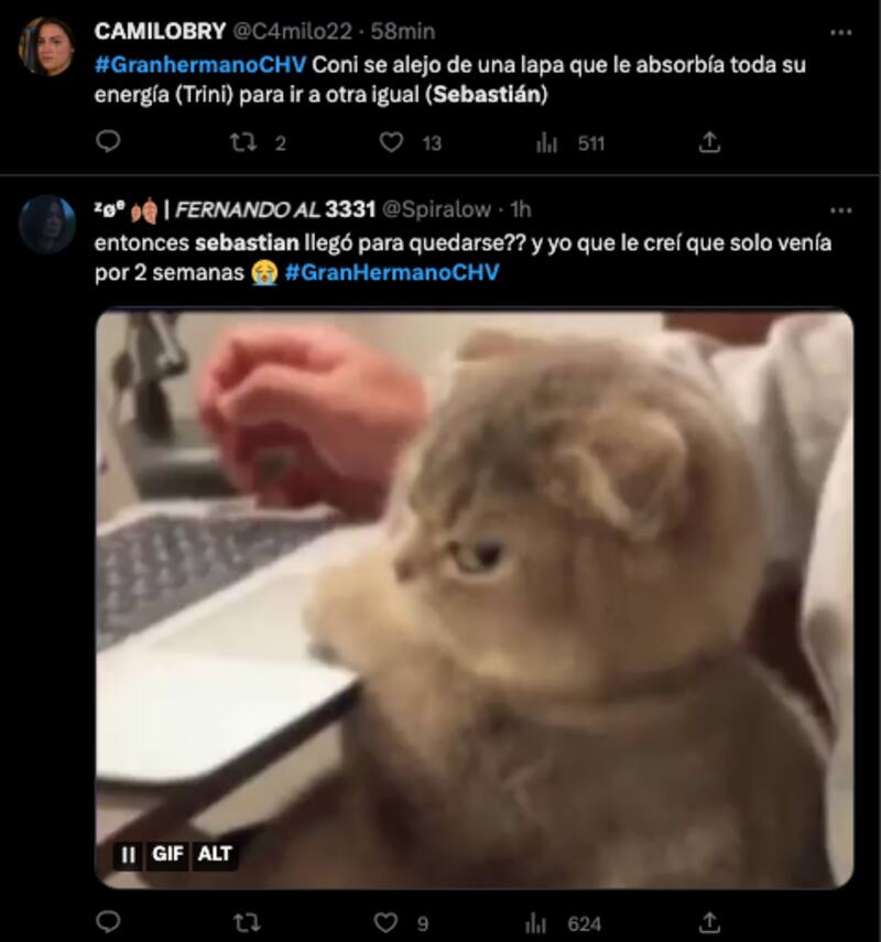 Internautas molestos por la permanencia de Sebastián Ramírez en "Gran Hermano" Chile. Foto: Twitter.