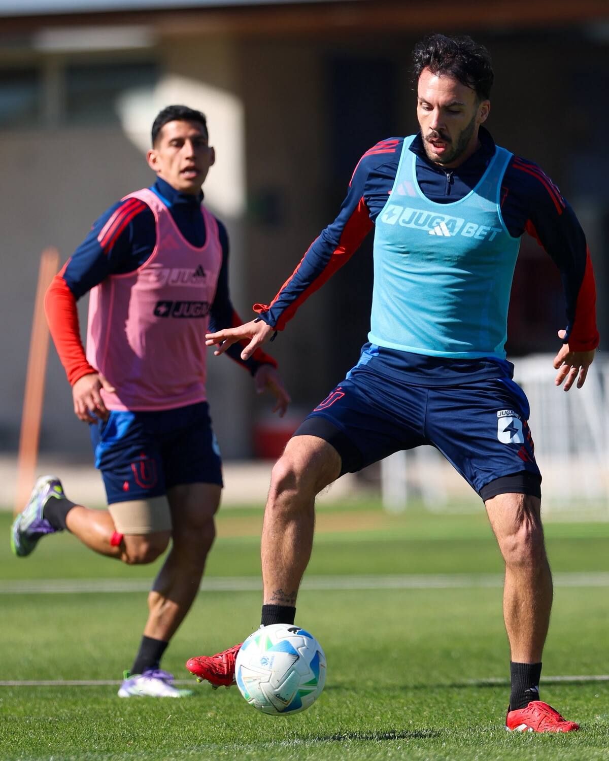 Foto: @udechile