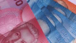 Seguro de Cesantía: Así puedes saber qué saldo tienes acumulado