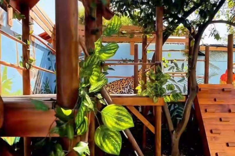 Es una oportunidad para que los niños y niñas puedan disfrutar sin límites.
Créditos: Selva Viva Café.