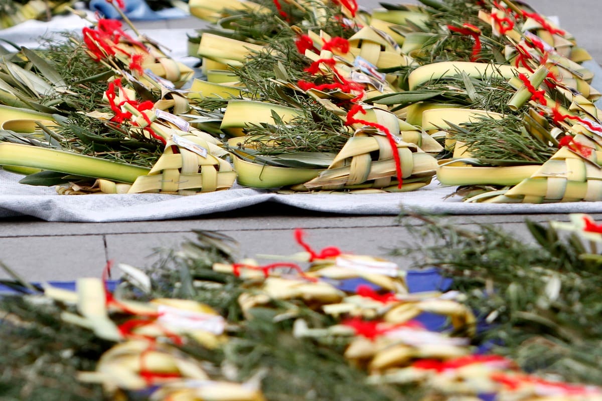 Hoy se conmemora el Domingo de Ramos. Créditos: ATON