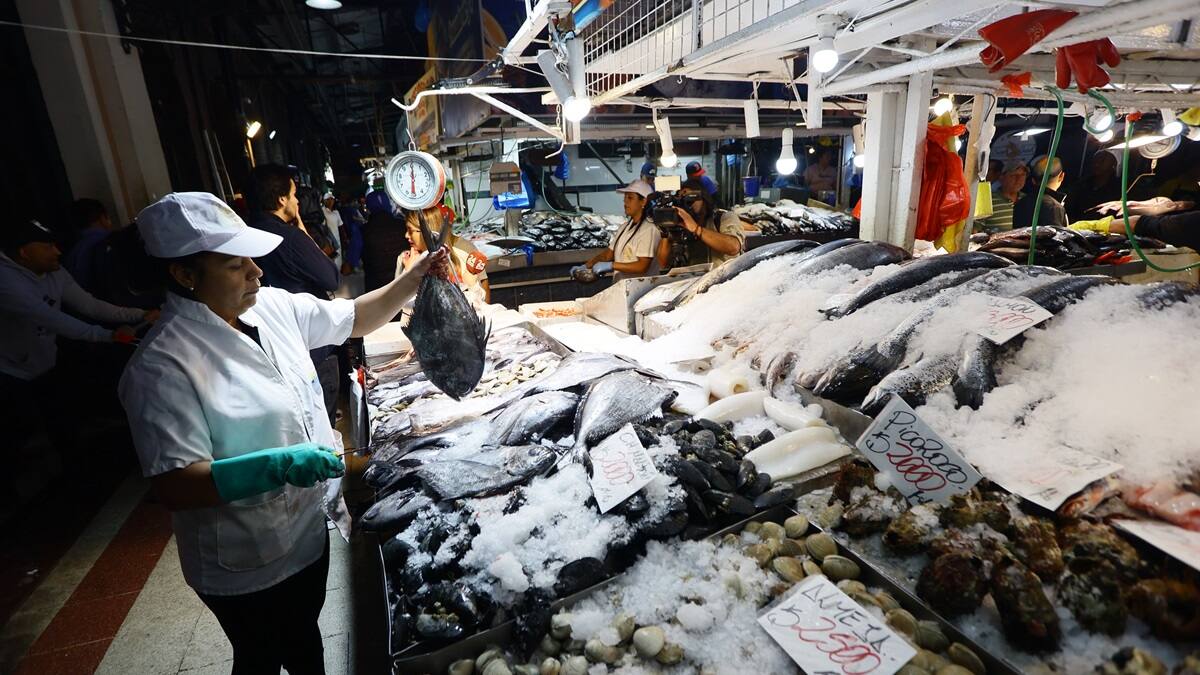 ¿No sabes cómo elegir el pescado ni los mariscos en Semana Santa? Sigue estas recomendaciones
