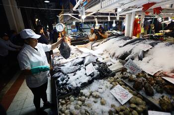 ¿No sabes cómo elegir el pescado ni los mariscos en Semana Santa? Sigue estas recomendaciones